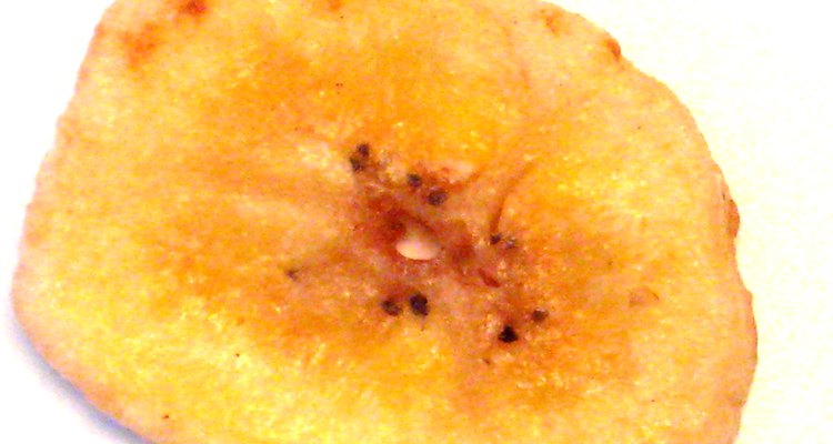The amount of calories in a single banana chip.