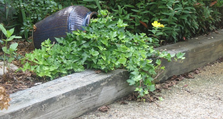 Wood landscape timber edging