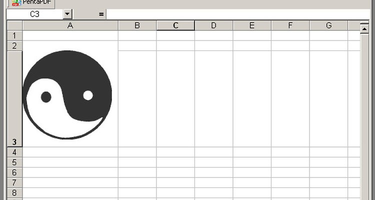 Pictures can be inserted into Microsoft Excel worksheets.