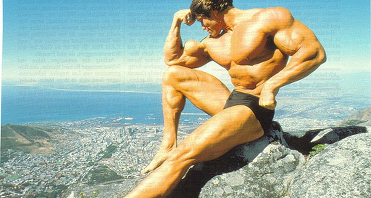 Arnold Schwarzenegger in his bodybuilding heyday.