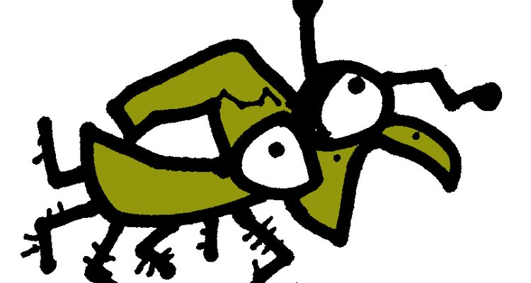 Fake Lacoste give away