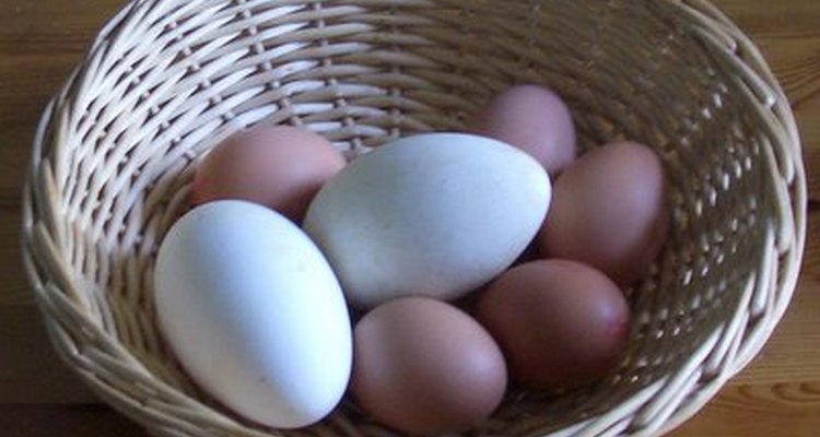 Goose eggs and jumbo chicken eggs