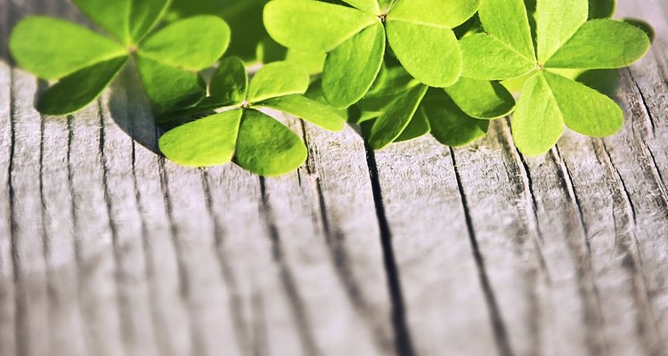 St Patrick's Day is a famous celebration of Irish culture.