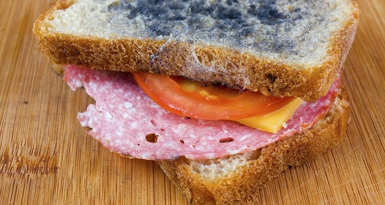 Moist bread is the ideal environment for mould growth.