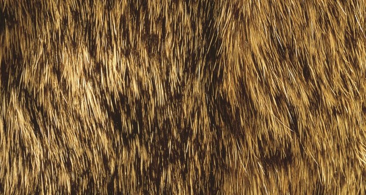 You can clean rabbit fur hats gently at home.