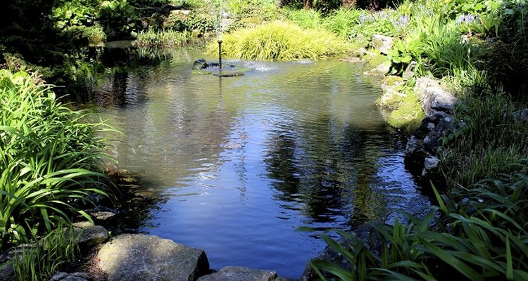 Timely pond repairs can stop water from leaking away.