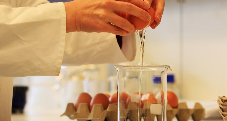 Food analysts examine the chemical and physical properties of food.