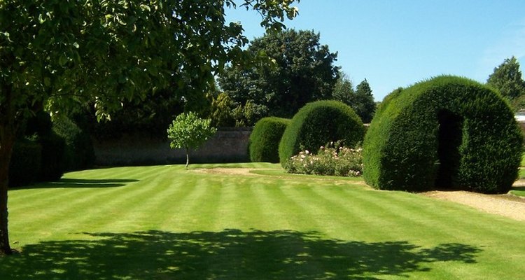 Return a damaged lawn to its pristine state by reseeding.