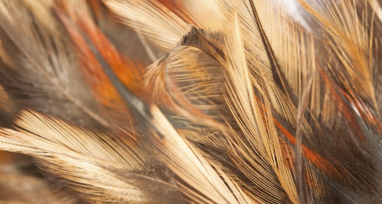 Delicate feathers can be damaged in sterilisation processes.