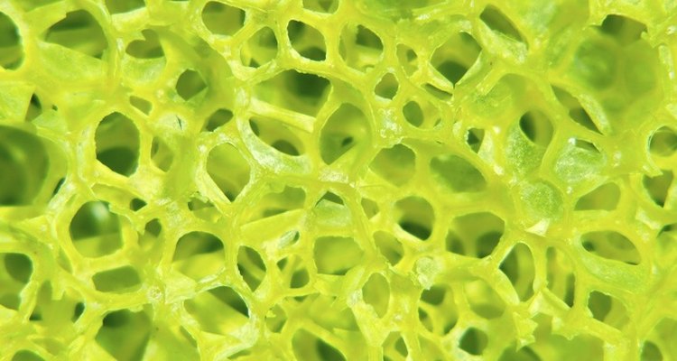Make foam latex rubber from two-part chemical kits.