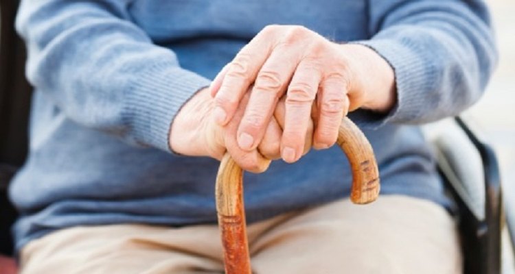 Strong woods are the ideal choice for traditional walking sticks.