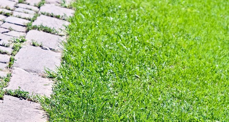 A brick edge can help define your lawn and maintain a manicured appearance.