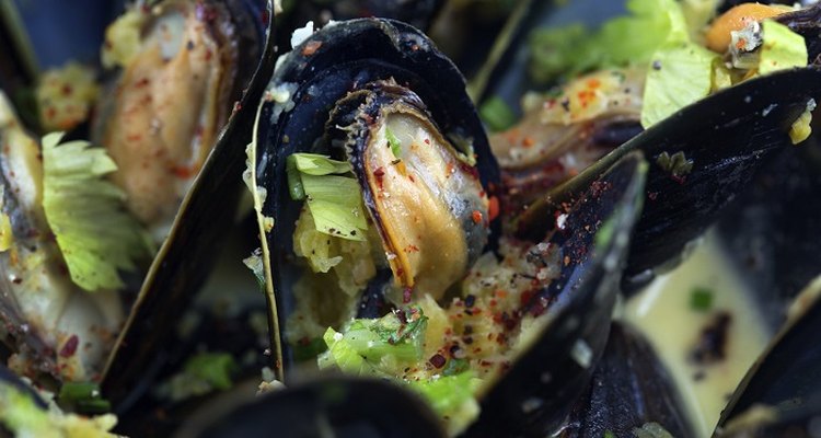 Freeze mussels after you've cooked them.