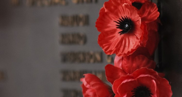 Poppies are the symbol of Remembrance Day.