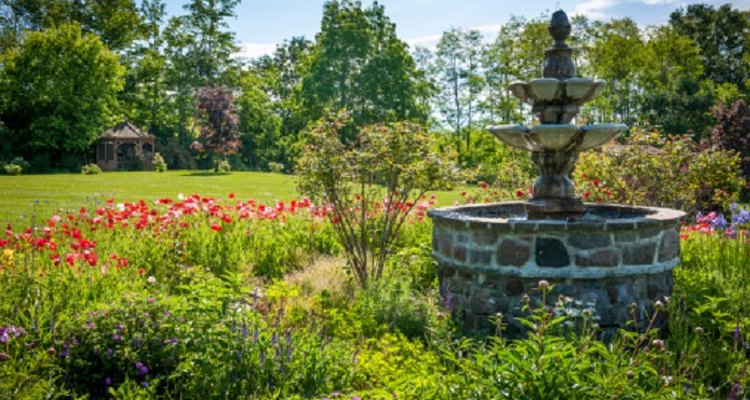 If you run your electrical wire correctly, you'll have free reign over where to put your fountain.