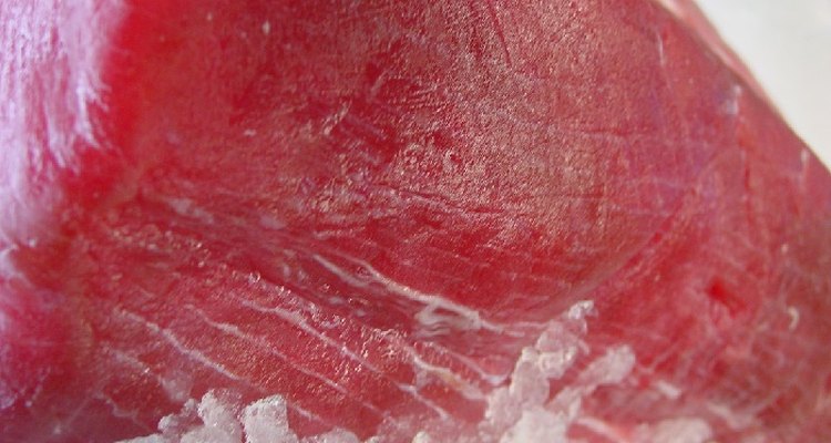 Select the freshest fish to freeze.
