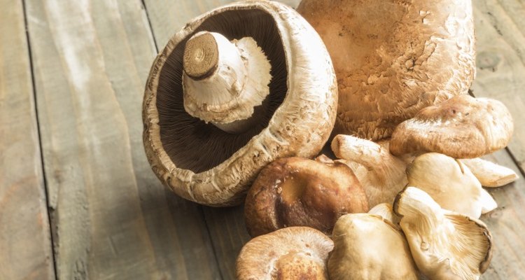 Making your own mushroom incubator is inexpensive and simple.