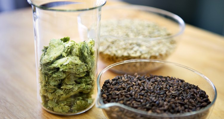 Barley, Hops and Wheat For Brewing Beer