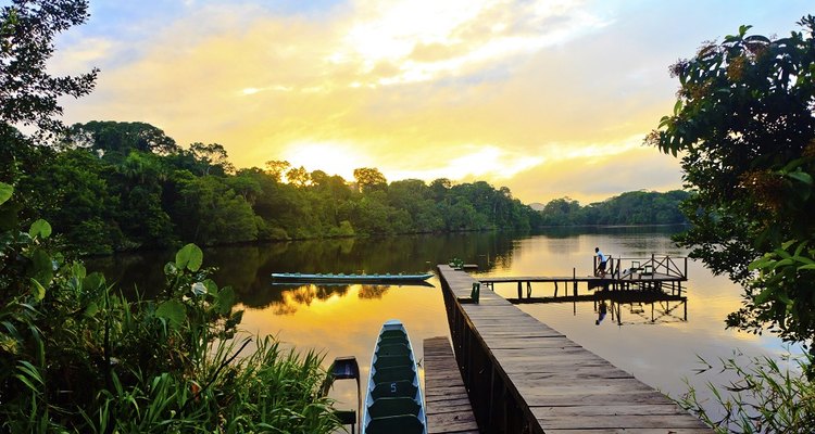 The Amazon Jungle is a centre for eco-tourism .