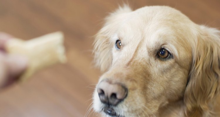 Treat your dog to a homemade snack.