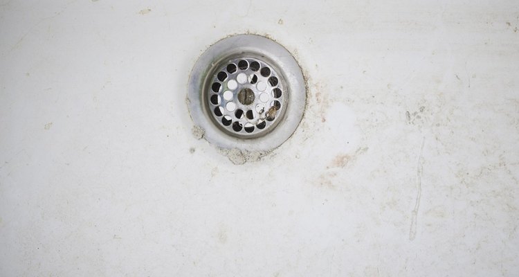 Small wormlike larvae squirming out of your drain are immature drain flies.