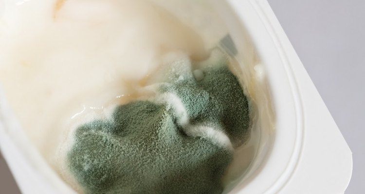 Make sure your yoghurt is mould-free before tucking in.
