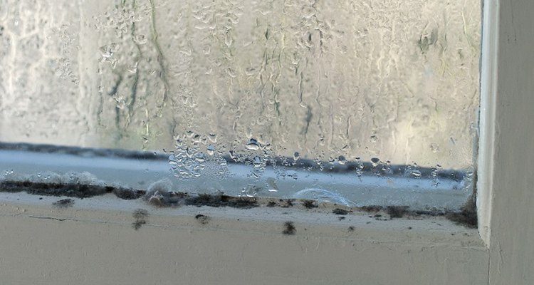 Eradicate harmful black mould from window sills.
