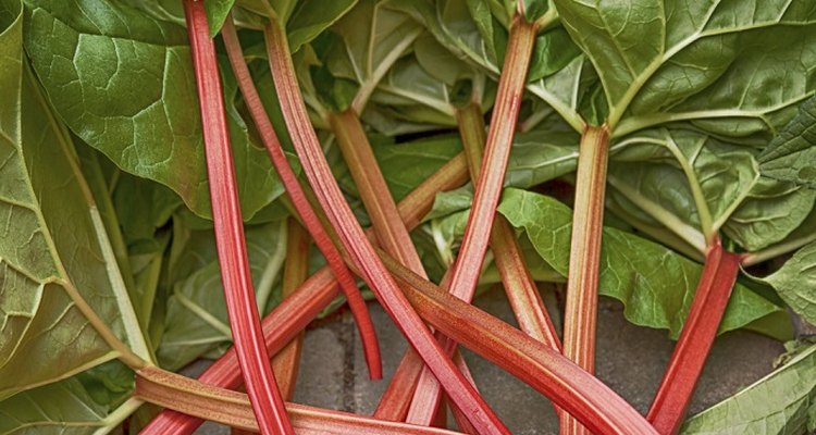 Remove oxalic acid from rhubarb leaves when making wine or juice.