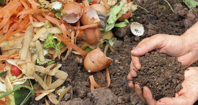 Different types of compost support different soils and plants.