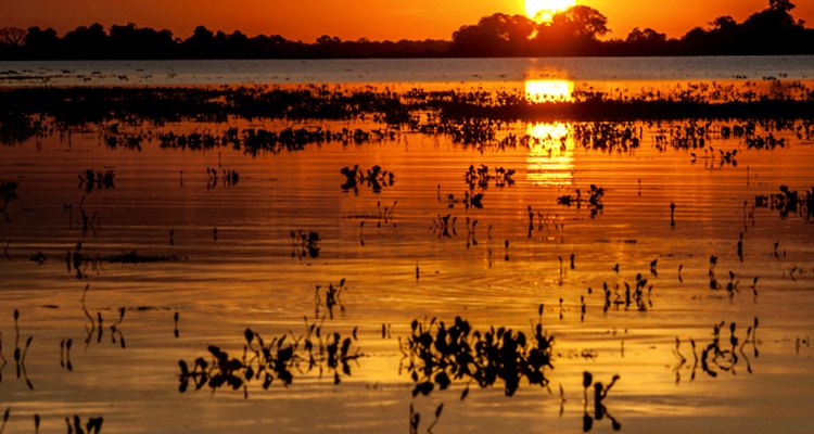 Existem 19 patrimônios mundiais da humanidade no Brasil