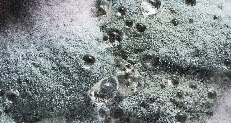 Clear mould growths from your house with baking soda.