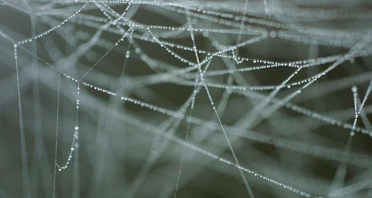 Fake cobwebs can add a frightful decoration to any home or office.