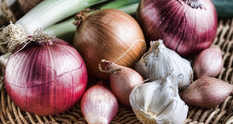 Red onions are easily identified by their deep red-coloured skin.
