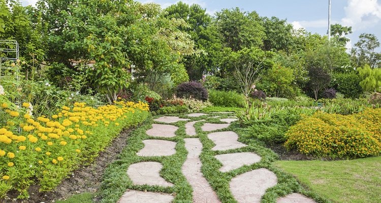 Ground cover between paving stones can range from popular herbs to moss-like plants.