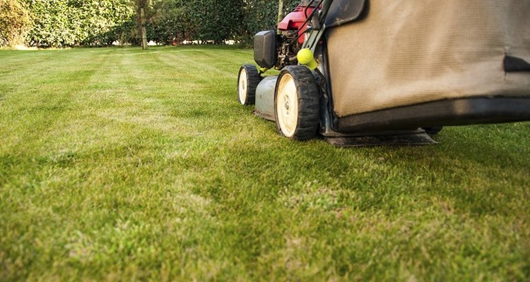 Keep your lawnmower in tip-top condition.