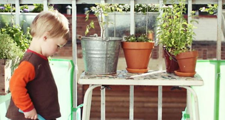 Crea un jardín a tu medida, tomando en cuenta tus alrededores.