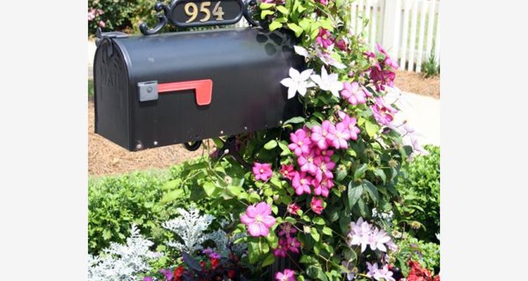 Haz que tu buzón de correo sea hermoso.