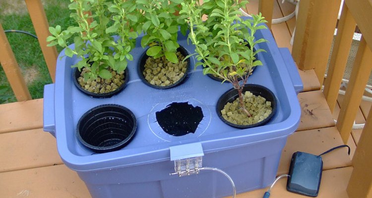 Homemade hydroponic fertilizer