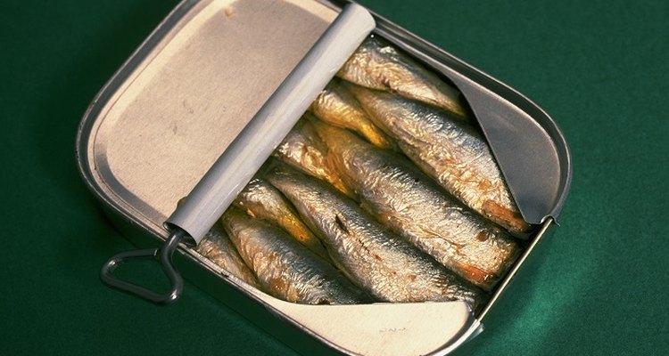 Difference between sardines and pilchards