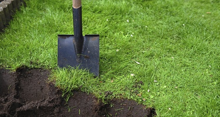 How To Dig A Border In The Lawn