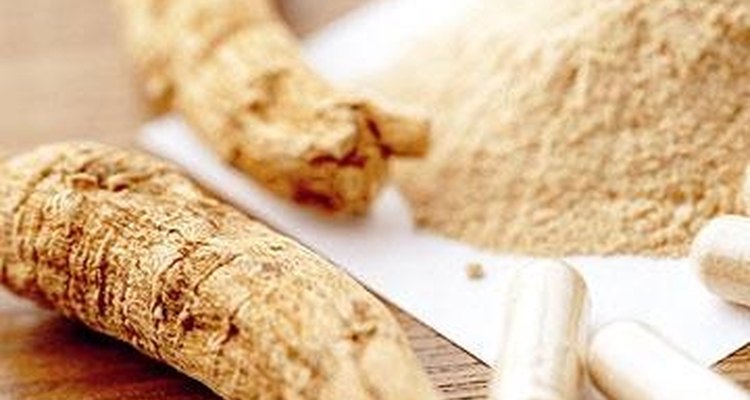 Se puede moler o hervir la raíz para luego utilizar.