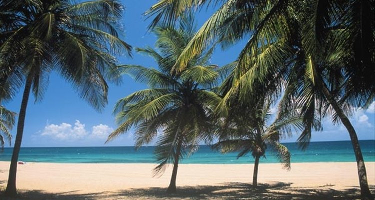 Los ciudadanos estadounidenses no necesitan un pasaporte para viajar directamente a y de vuelta desde Puerto Rico.