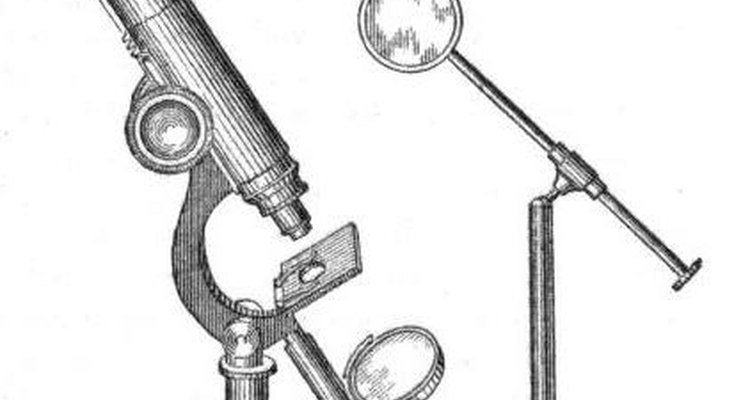 Microscópio composto