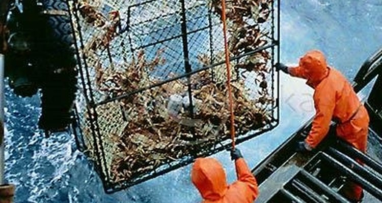 A captura do caranguejo rei na costa do Alasca é um dos trabalhos mais perigosos e lucrativos no mundo
