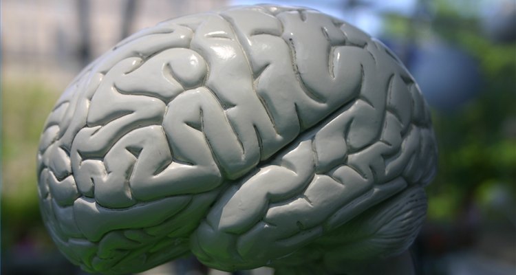 A atrofia cerebral é um termo que engloba qualquer perda de células no cérebro, não importando a causa