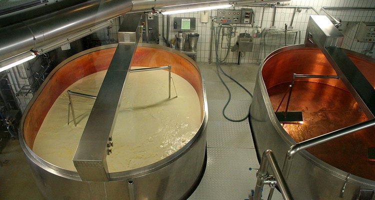 O coalho é utilizado na produção da maioria dos tipos de queijo