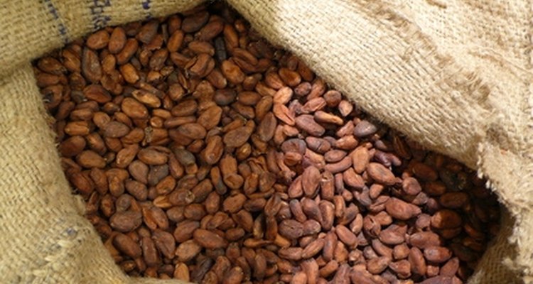 La fermentación de los granos de cacao es fundamental para la producción de una cocoa de calidad.