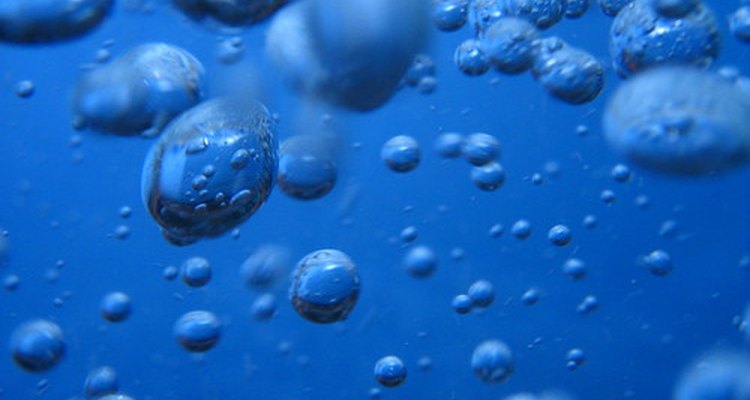 Líquido em excesso no corpo pode causar bolhas
