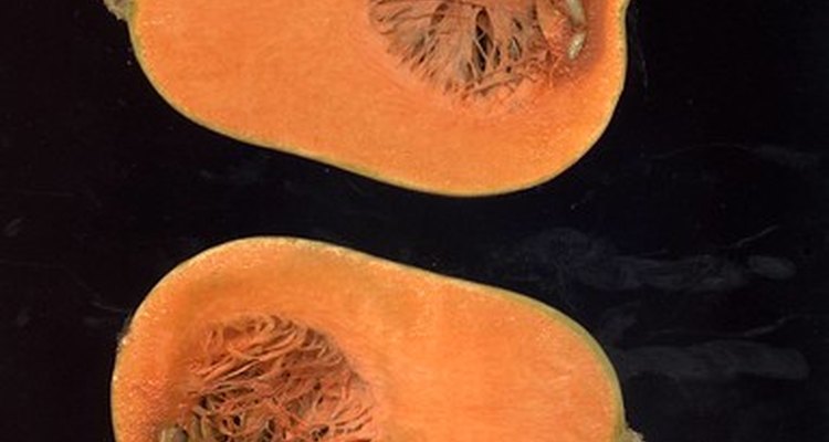 Spleens like squash.