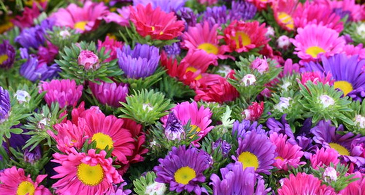 Flowers are generally welcome as a gesture of sympathy.